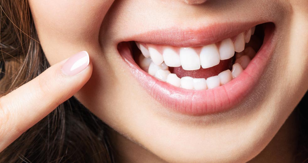 tooth for life conversation